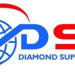 What We Do dsl logo