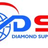 dsl logo