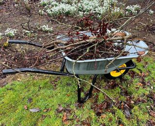 wheelbarrow full of twigs and branches. spring gardening. west of ireland