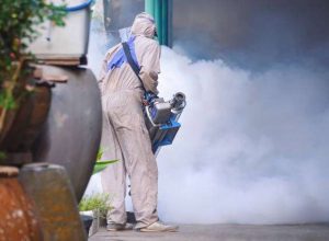 prestige fumigation1