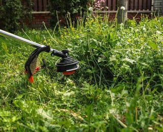 prestige grass cutting