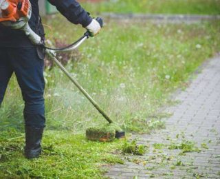 prestige grasscutting