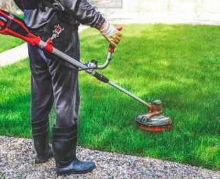 prestige grasscutting1